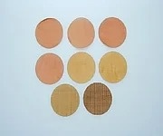 Thermo Fisher 迷你替換篩網布組 1袋(8件)14-306B